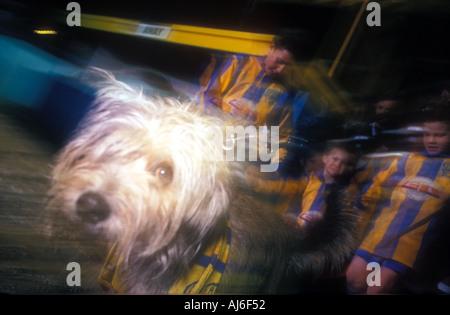 OBLIGATORISCHE CREDIT MICHAEL CRAIG Football Club Maskottchen Hund http Www Michael Craig com Stockfoto