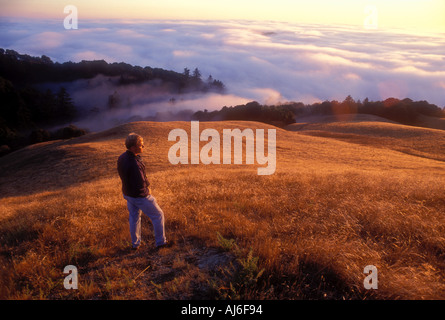 Mann steht am Hang über dem Nebel in der Nähe von San Francisco Kalifornien USA veröffentlicht Modellbild Stockfoto