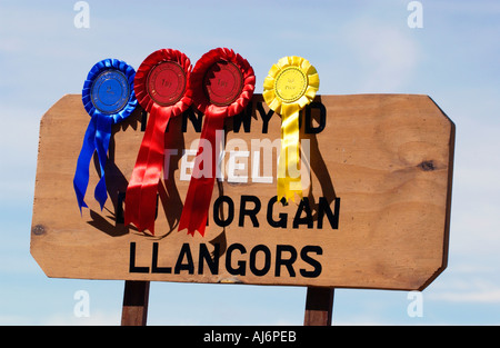 Preis gewinnende Schafe am Llanfihangel Talyllyn Agricultural Show in der Nähe von Brecon Powys Wales UK GB Stockfoto