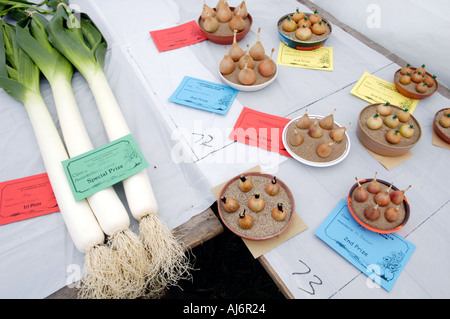 Preis gewinnende Gemüse Lauch und Schalotten auf Llanfihangel Talyllyn Agricultural Show in der Nähe von Brecon Powys Wales UK Stockfoto