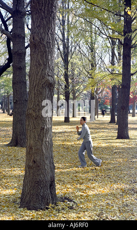 Eine Frau praktiziert Tai Chi in Ueno Park in Tokio Stockfoto