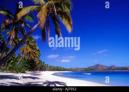 Palm von Bäumen gesäumten tropischen Strand in der Yasawa Inselgruppe im Südpazifik Fiji Stockfoto