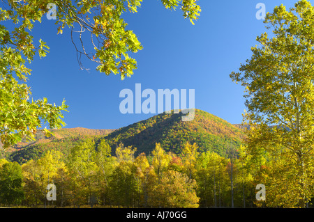 Cades Cove des Great Smoky Mountains National Park in den Höhepunkt der Herbst-Farben.  Oktober in Tennessee, USA. Stockfoto