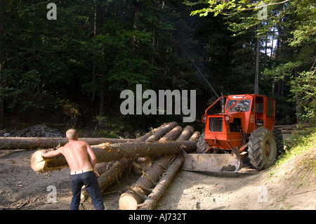 Protokollierung Aktivität im Wald des Rarau Massivs, Moldavien, Rumänien, Rumänien Stockfoto