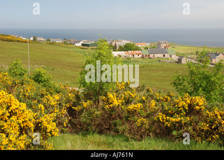 Stadt Melvich im Frühling auf North Coast von Highland-Schottland Stockfoto