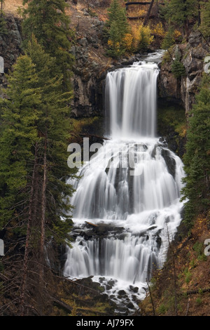 Undine fällt, Yellowstone-Nationalpark. Wyoming Stockfoto