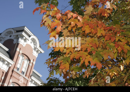 Pocono Poconos Mountains Pennsylvania, Honesdale, Wayne County Court House Häuser Haus Häuser Residenz, Ahornbäume Blätter, Herbstfarben, Blatt ändern Stockfoto
