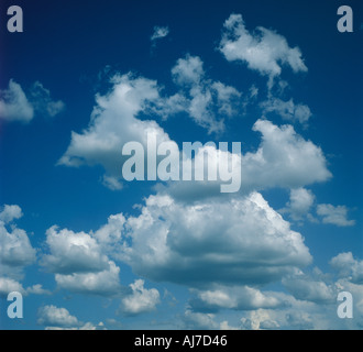 Cumulus-Wolken und blauer Himmel Stockfoto