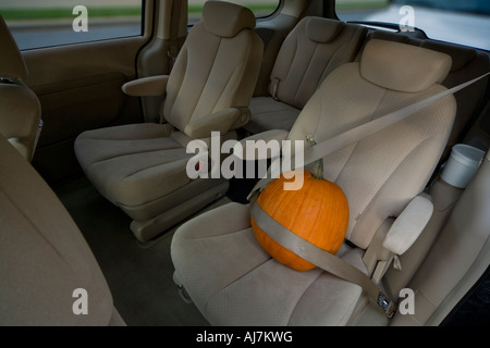 Vorbereitungen für Halloween. Übermäßig schützend: Halloween-Kürbis auf dem Rücksitz ein Minivan-Auto mit Sicherheitsgurt. Stockfoto