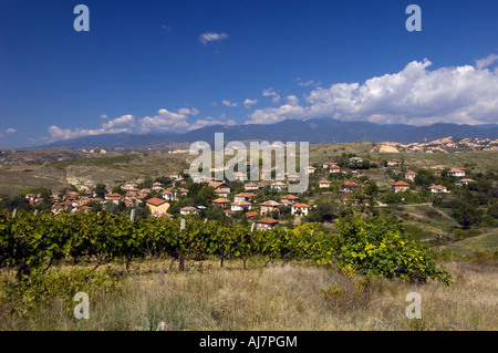 Weinberge in der Nähe von Melnik, Pirin-Gebirges, Bulgarien Stockfoto