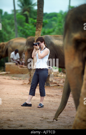 Fotograf in Pinnawela Elephant Orphanage, Sri Lanka, Asien Stockfoto