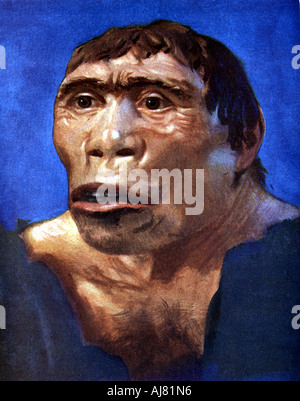 'Java' (Pithecanthropus erectus). Artist: Unbekannt Stockfoto