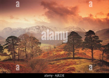 Borrowdale See Disrtict UK Stockfoto