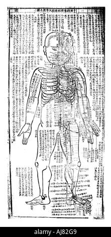 Akupunktur Diagramm für die Vorderseite des Körpers, Japanisch, 19. Artist: Unbekannt Stockfoto