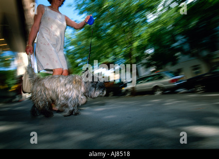 Frau zu Fuß einen Hund, Paris, Frankreich, niedrigen Winkel anzeigen Stockfoto