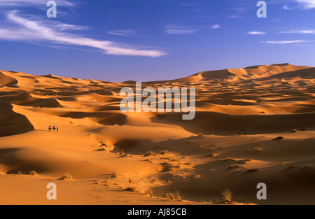 Touristischen Kamelritt in den Sanddünen der Wüste Sahara, Erg Chebbi, Marokko Stockfoto