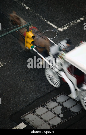 Pferdekutsche durchläuft Kreuzung unter Contorl Ampel New York NY Stockfoto