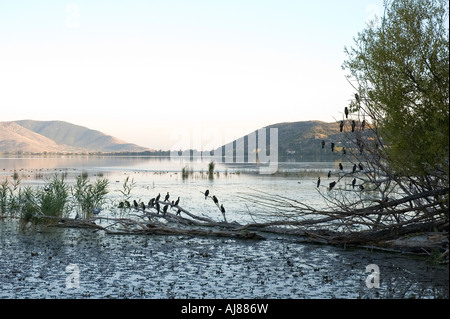 Ein Blick auf den See in Kastoria, Griechenland Stockfoto