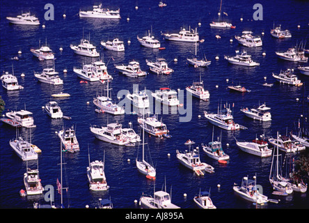 Catalina, Avalon Hafen, Insel, Meer der Boote ankern Yachten Segelboot Blau Wasser Zeilen, Boot Muster, Hintergrund Stockfoto