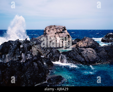 Naturbad gebildet durch Felsen auf der Insel Aruba, Caribbean Stockfoto