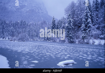 Schneebedeckte Bäume und Fluss nr Schwangau Bayern Deutschland Stockfoto