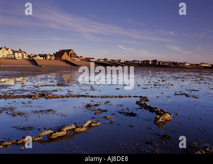 whitstable Beach mit einer Anlegekette im Vordergrund und das Austernrestaurant im Hintergrund mit blauem Himmel und ruhigem Wasser bei Ebbe Kent England Stockfoto