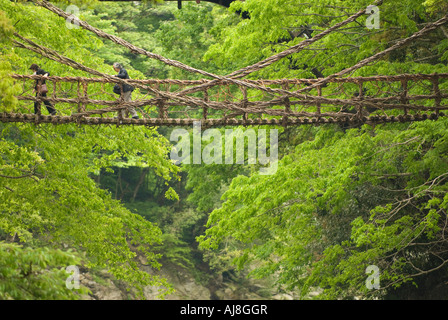 Kazurabashi Brücke im Tal Iya, Shikoku, Japan Stockfoto