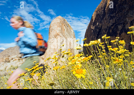 Tages-Wanderer zu Fuß unterwegs. Stockfoto