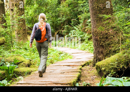 Wanderer zu Fuß am Boardwalk durch Wald. Stockfoto
