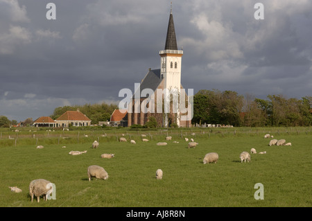 Die Kirche von Den Hoorn Texel Stockfoto