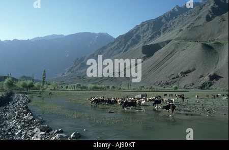 Pakistan Phander Valley Lake Stockfoto