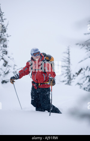 Junger Mann Skitouren durch Wald Stockfoto