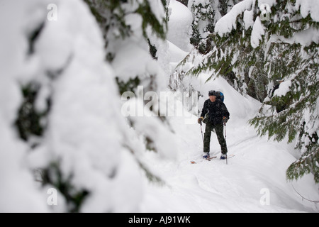 Junger Mann Skitouren durch Wald Stockfoto