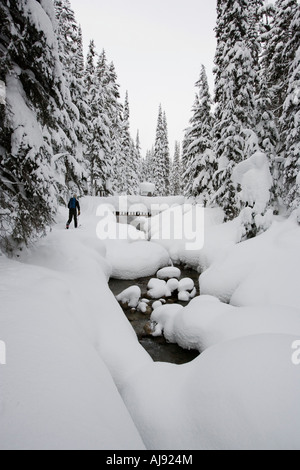 Junger Mann Skitouren durch Wald Stockfoto