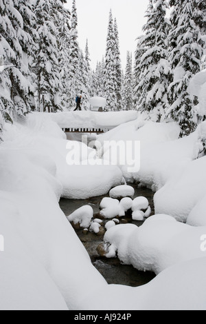 Junger Mann Skitouren durch Wald Stockfoto