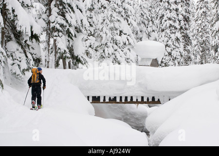 Junger Mann Skitouren durch Wald Stockfoto