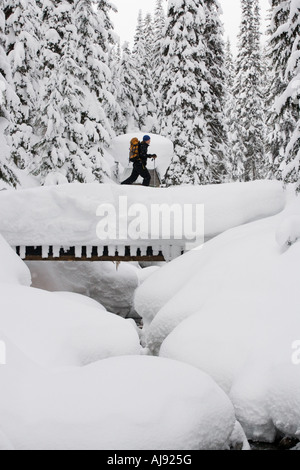 Junger Mann Skitouren durch Wald Stockfoto