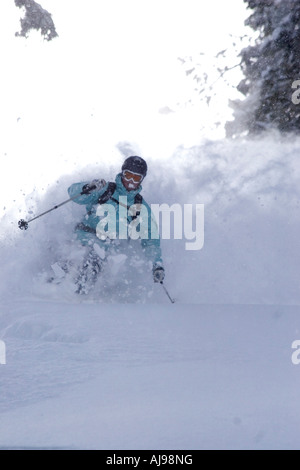 Mann Ski Pulver auf alpinen Wiesen. Stockfoto