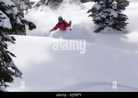 Frau Skifahren Tiefschnee. Stockfoto