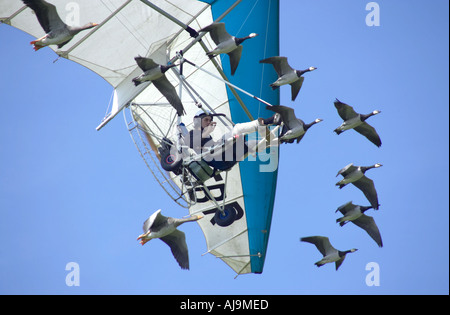 Christian Moullec, berühmten französischen Naturschützer (aka Der Birdman) in seinem ultraleichtflugzeug Fliegen mit seinem Graugänse und Nonnengänse Stockfoto