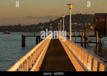 Promenade, Okahu Bay, Auckland, Nordinsel, Neuseeland Stockfoto