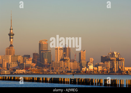 Okahu Bay, Auckland, Nordinsel, Neuseeland Stockfoto