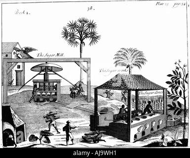 Die Sklavenarbeit auf einer Zuckerrohrplantage in Westindien, 1725. Artist: Unbekannt Stockfoto