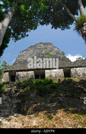 Tempel VI in Tikal, Guatemala Stockfoto