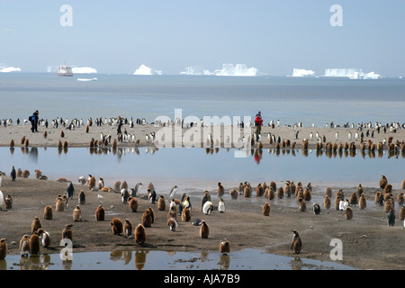 Königspinguine und Touristen am Strand von St. Andrews Bay South Georgia Island der größte König Pinguin-Kolonie in der Welt Stockfoto