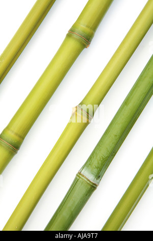 Frischer grüner Bambusstöcke in einem diagonalen Muster Stockfoto