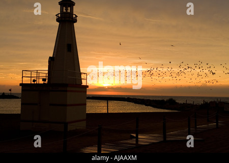 Möwen fliegen vorbei Leuchtturm bei Sonnenuntergang am See front Park in New Buffalo Michigan Stockfoto