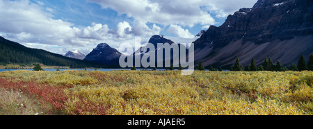 Herbstfarben am Bow Lake in der kanadischen Rockies Banff Nationalpark Alberta Kanada Stockfoto