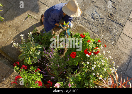 Woman Modell freigegeben neigende Blumentöpfe in einem Garten Dorset England UK Stockfoto