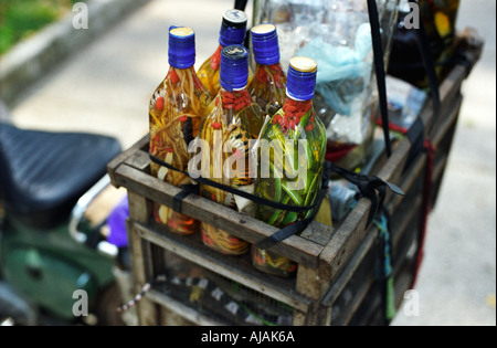 Detail snake Wein Fahrrad Hersteller Ho Chi Minh Stadt Saigon Vietnam Anmerkung lebendige Schlangen in Korb Stockfoto